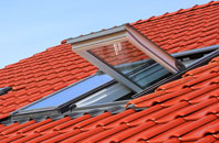 Dixton roof window